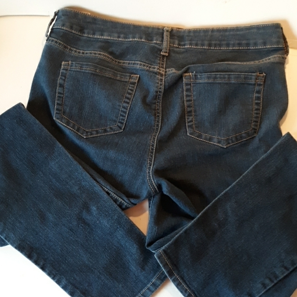 Torrid Denim 10R skinny